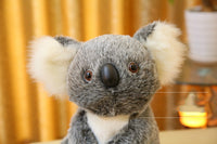Peluche de Koala